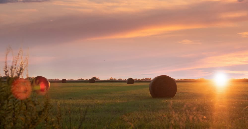  picture of a field with bales of hay and the sun is going down.