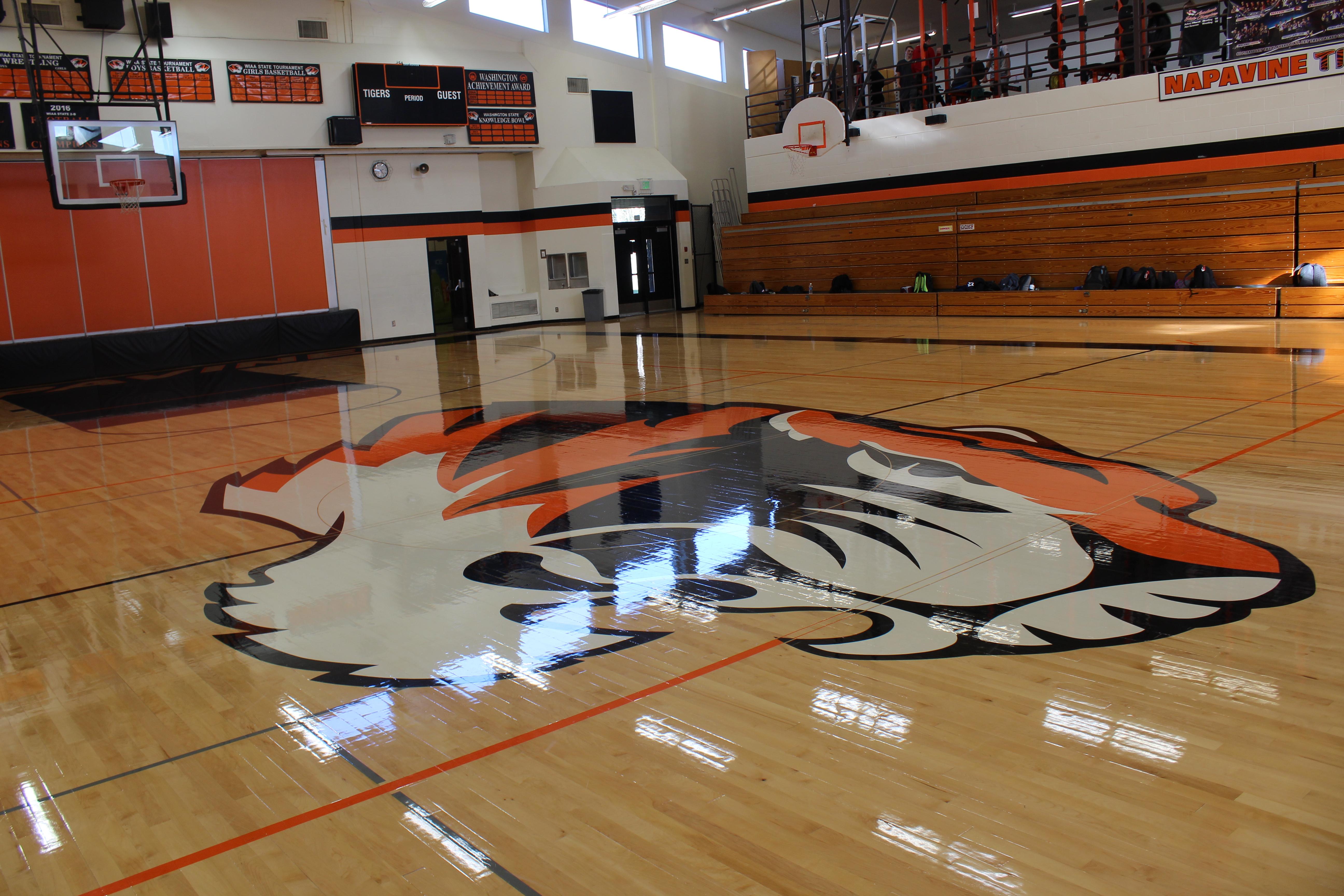Napavine Gym floor showing the Tiger Logo