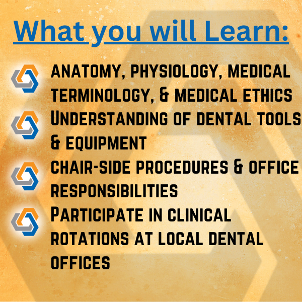 What you will learn in Dental Careers Graphic