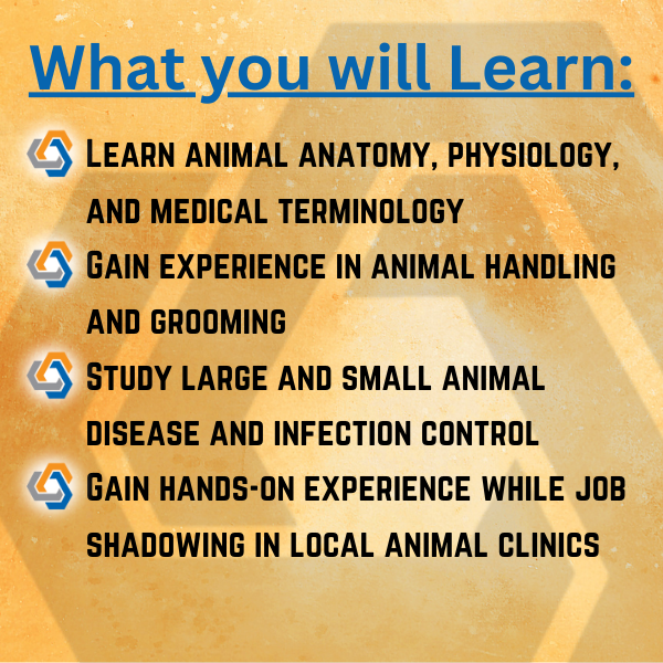 What you will learn in Veterinary Science Graphic