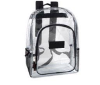 Clear Backpack with Mesh Side Pockets