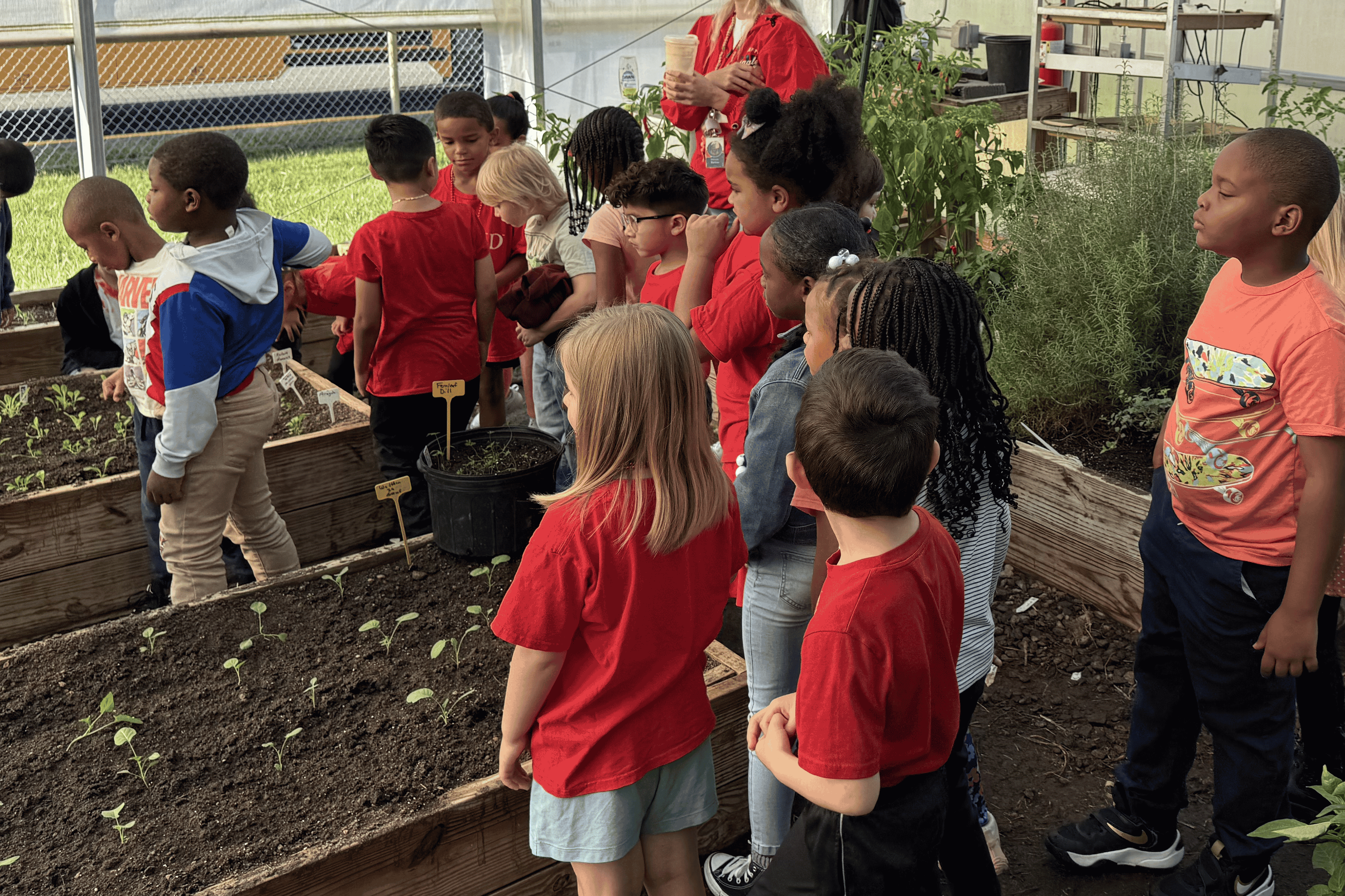 Elementary students walk through a greenhouse structure to learn about plants and agriculture