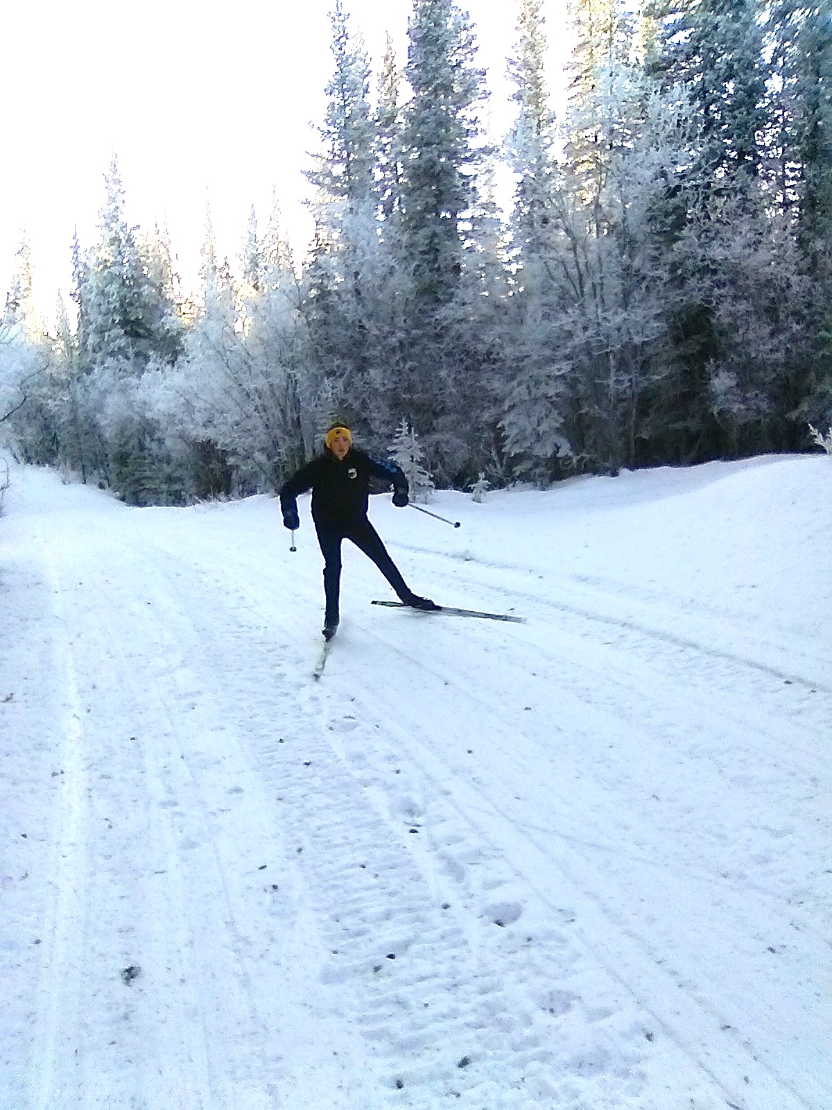 nordic ski