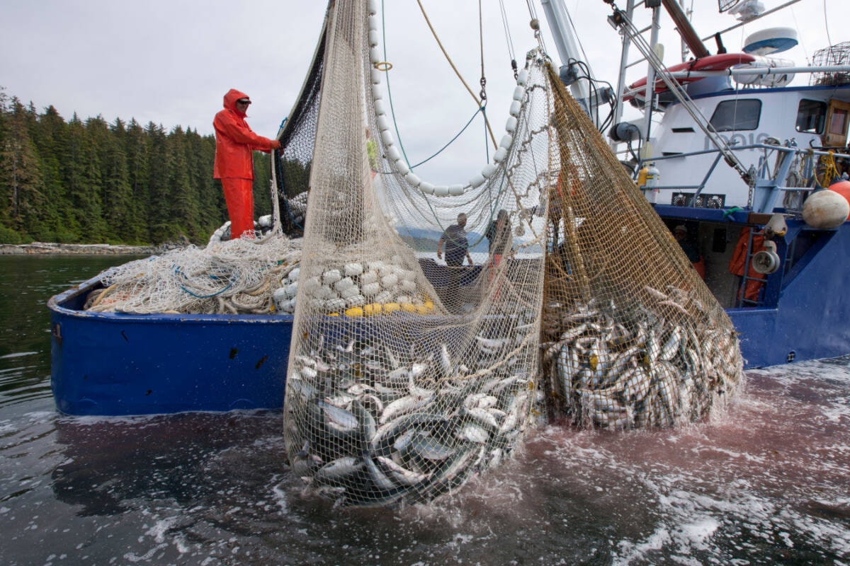 Did you know that commercial fishing is a qualifying migrant ed activity?