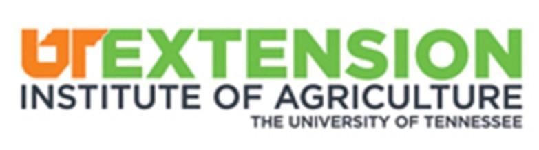UT extension