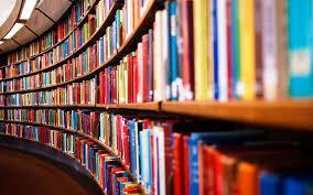 books in shelfs