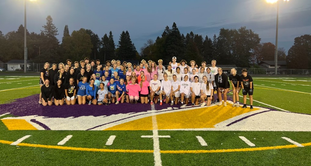 powderpuff