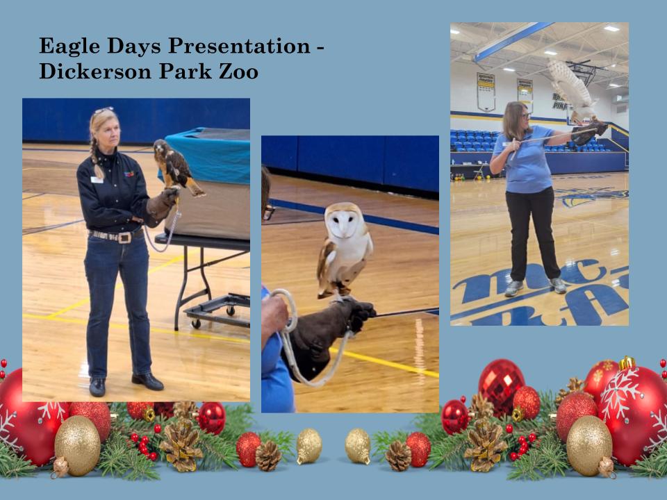 Dickerson Park Zoo presented info about Raptors. This photo shows three different birds.