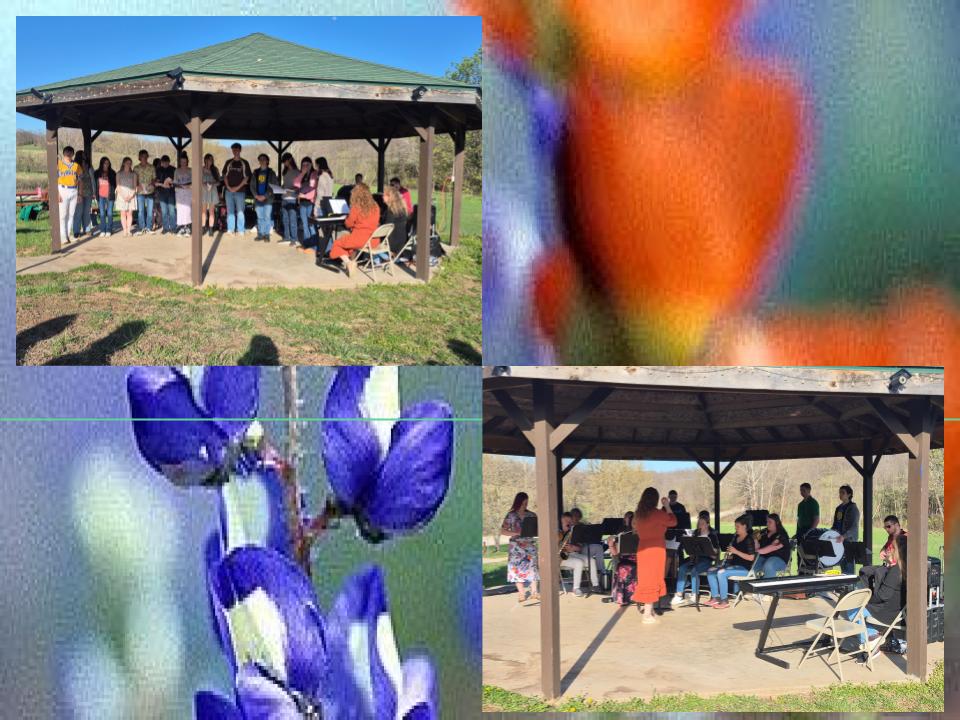 Music in the Park