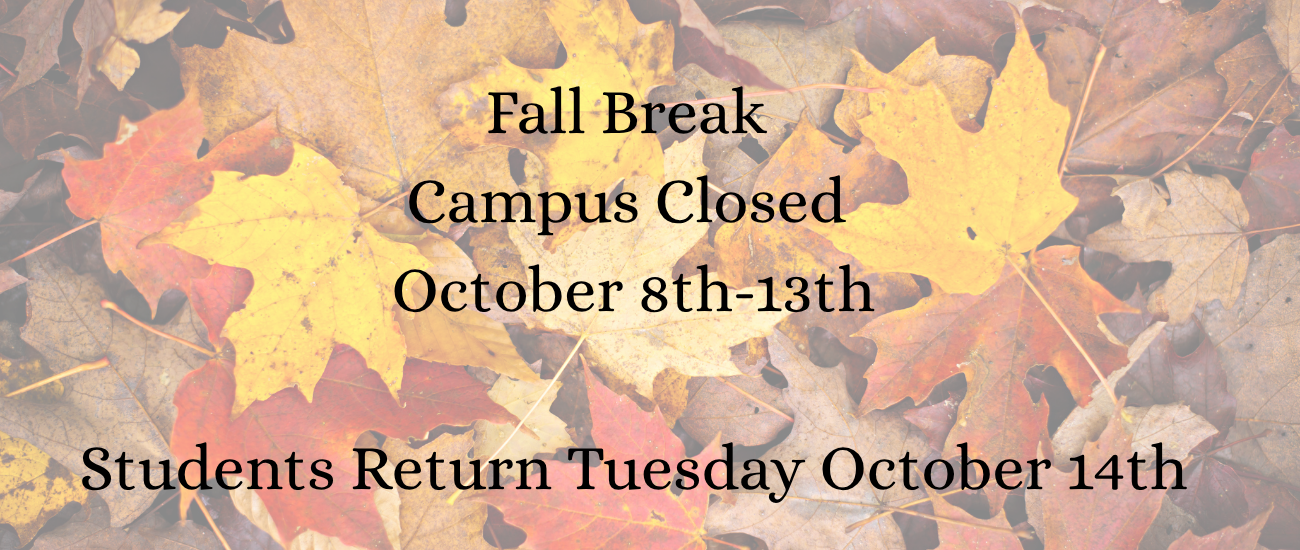 fallbreak25