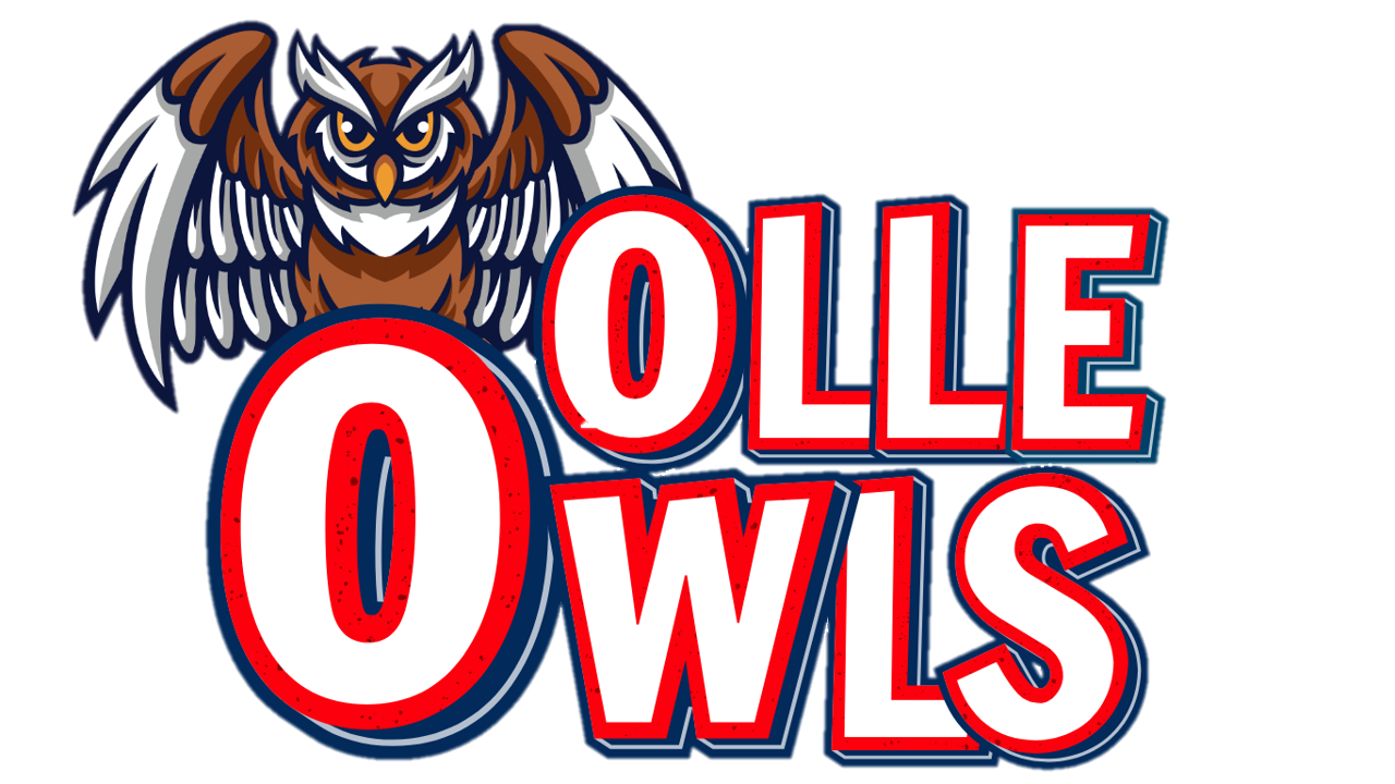 Olle Owl Logo