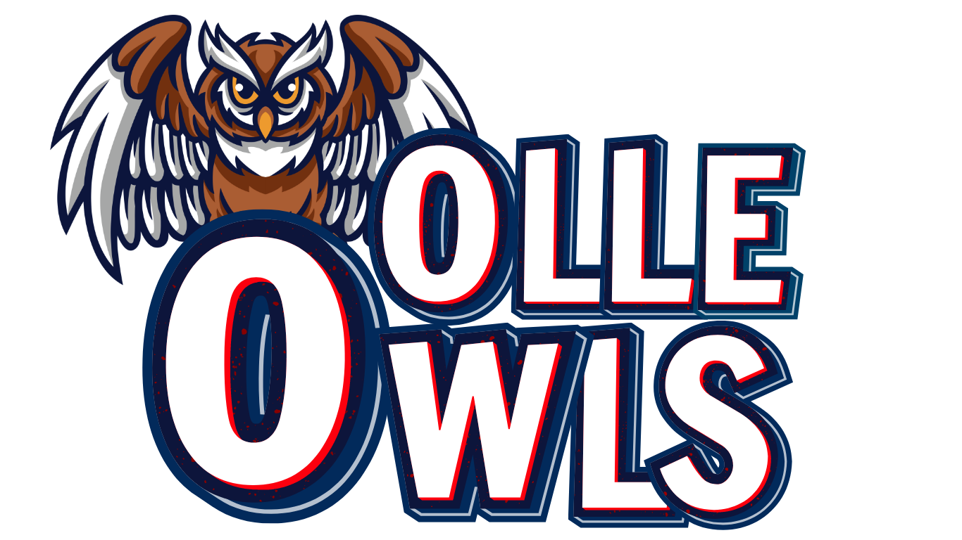 The logo displays an owl with wings spread above the word "OLLE". The text "OWLS" is in bold, blue font.