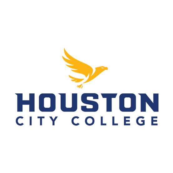 Blue text reads "HOUSTON CITY COLLEGE". An eagle, wings spread, appears above the text in yellow.
