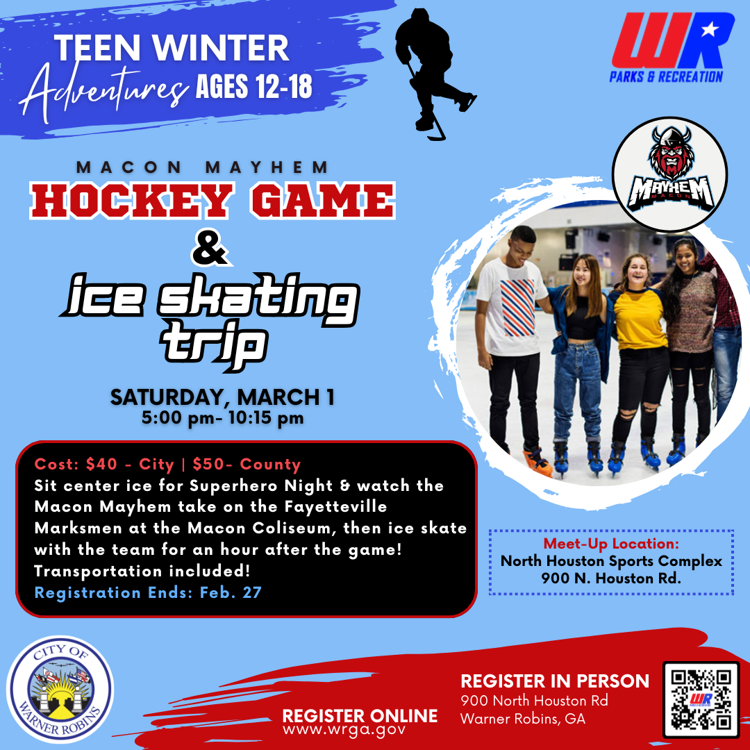 teen adventure hockey game