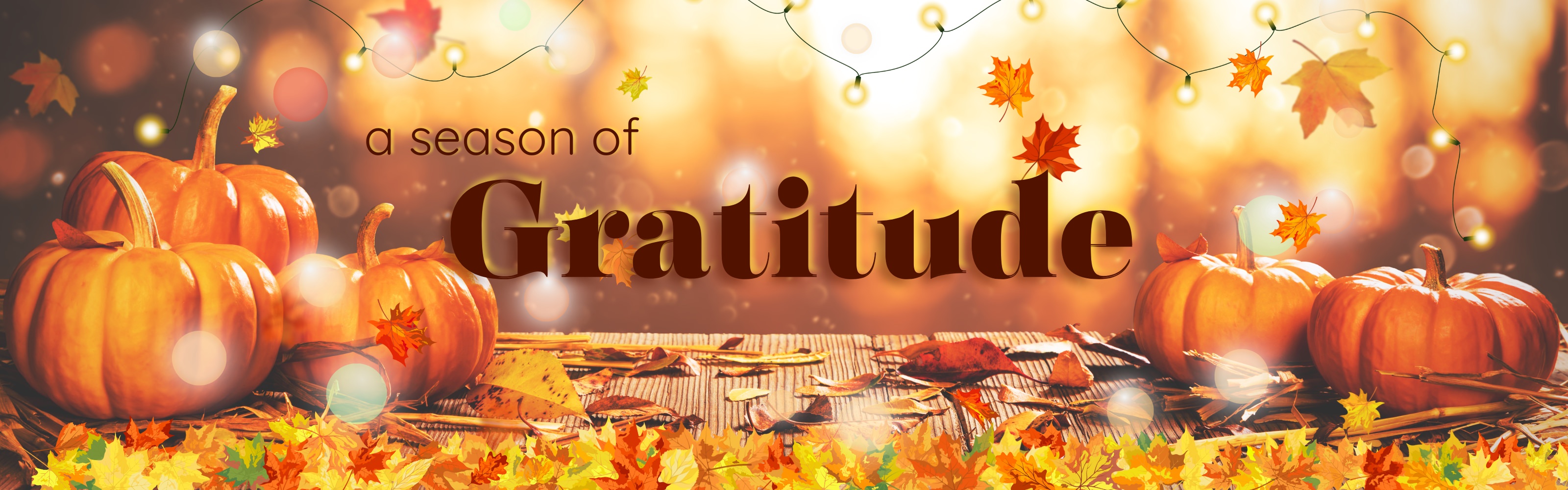 A season of gratitude