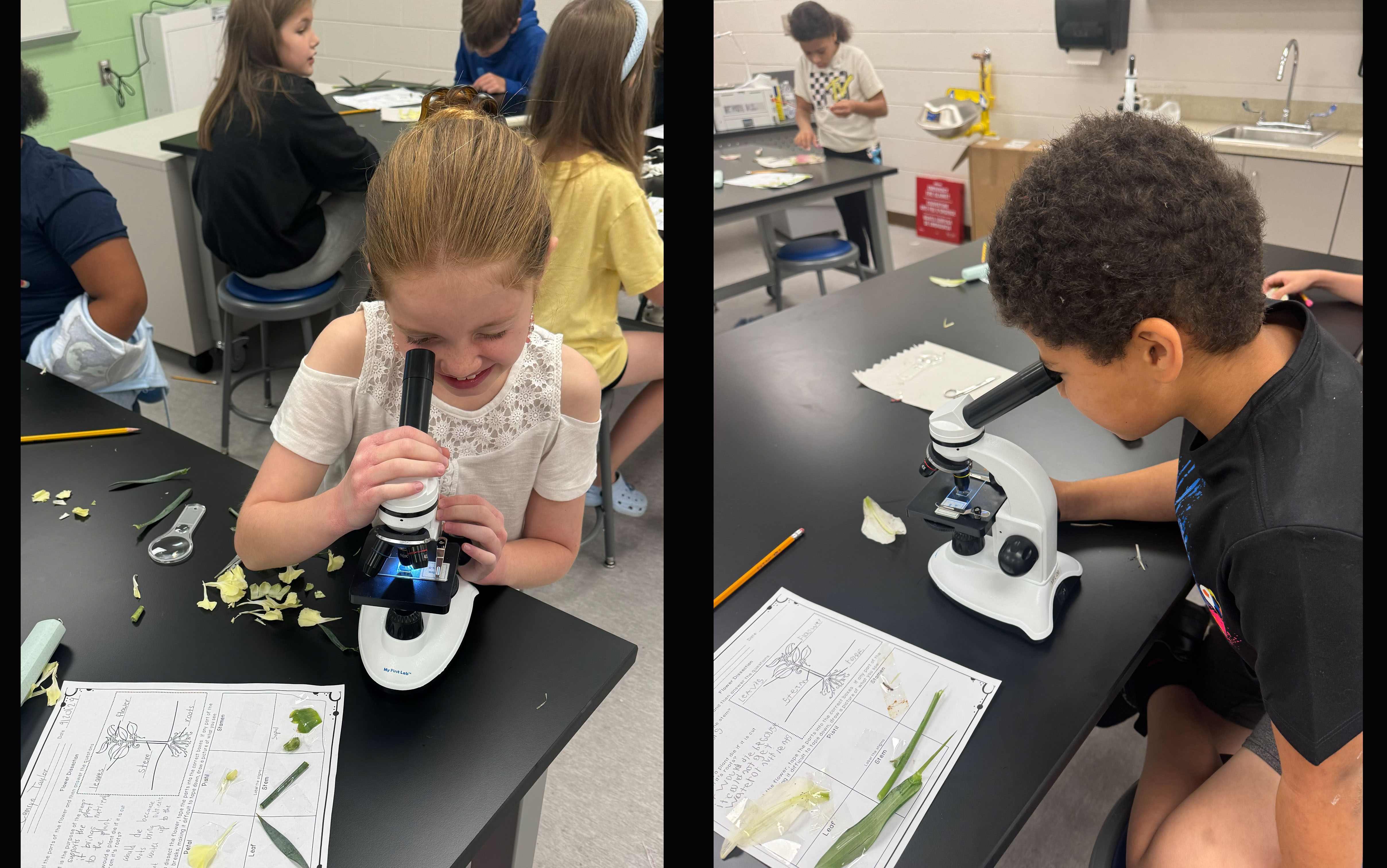 VIS - Science Lab Microscopes