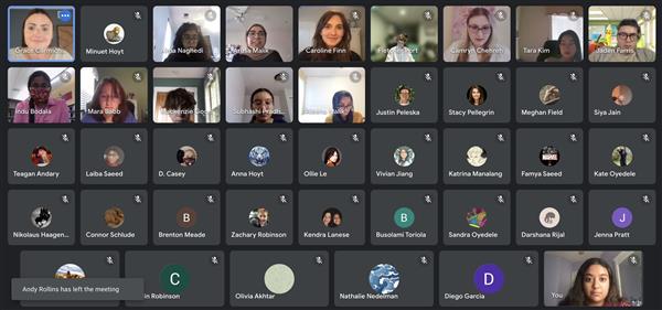 participants on a video chat meeting