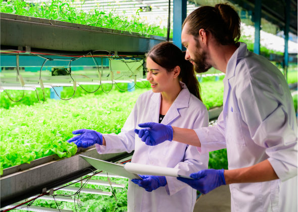 Botanists looking at plant samples