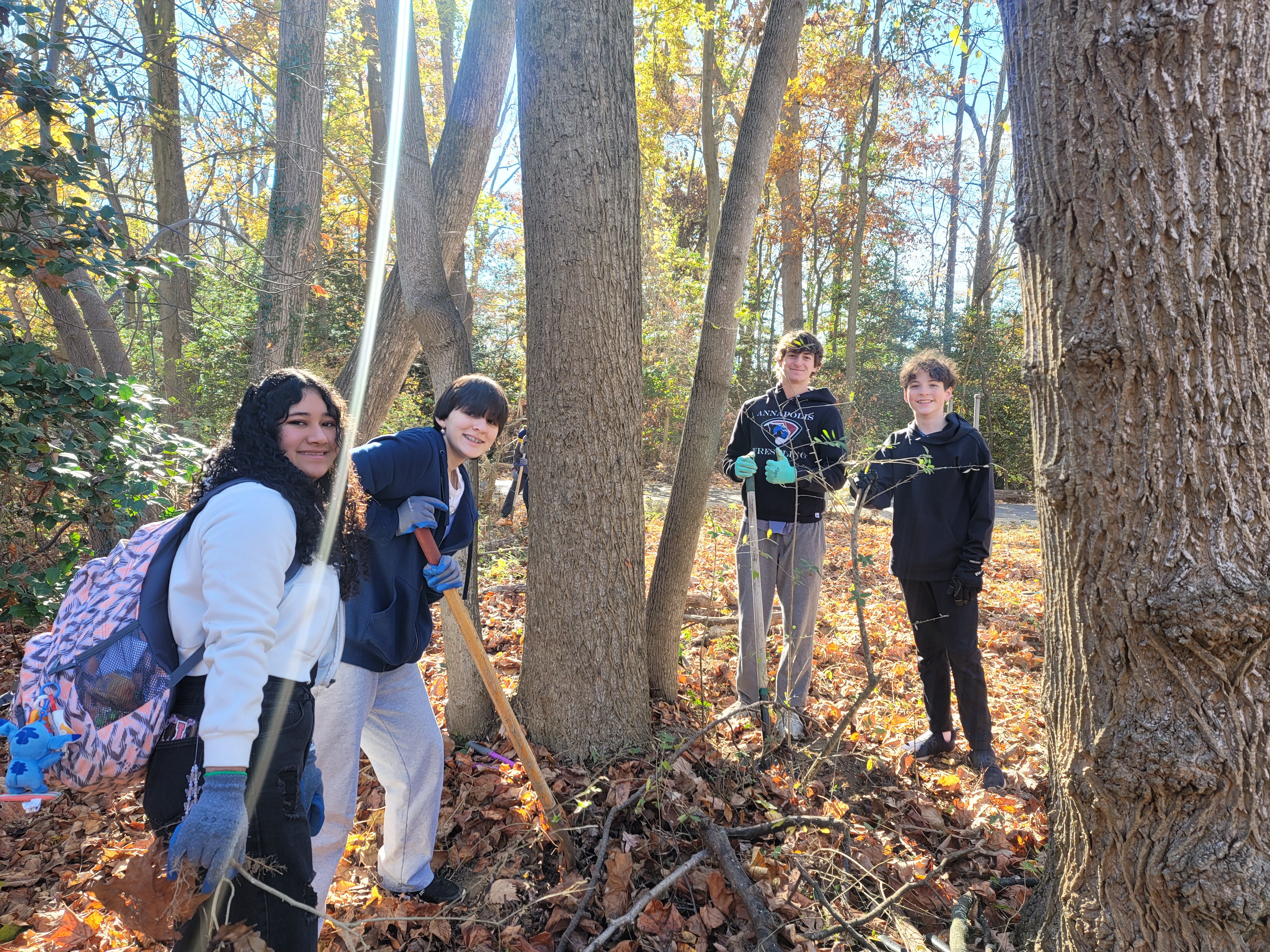 Students working in partnership with Save Our Trees. 