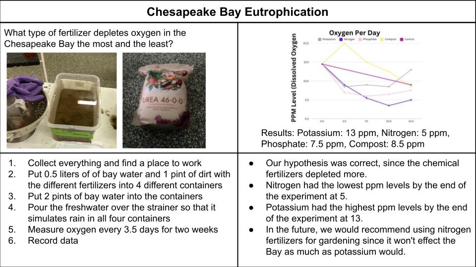 Chesapeake Bay Eutrophication