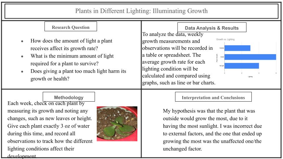 Plants in Different Lighting: Illuminating Growth