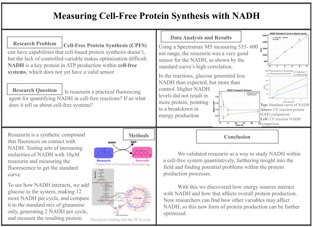 Measuring Cell-Free Protein Synthesis with NADH