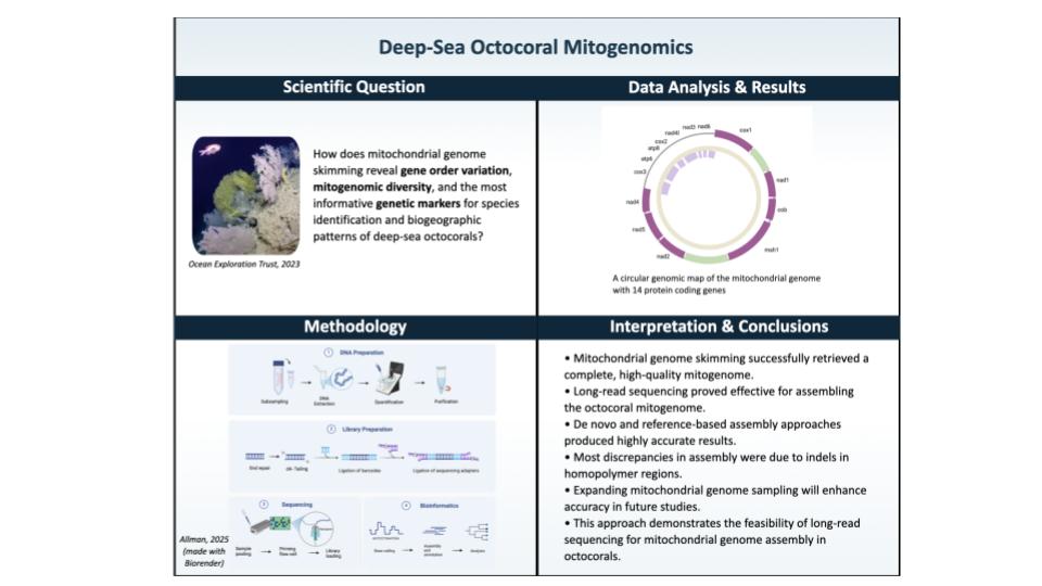 Deep Sea Octocoral Mitogenomics