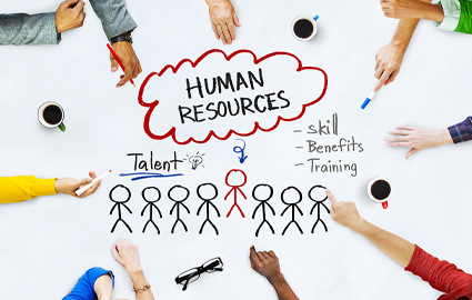Human Resources and Talent Development