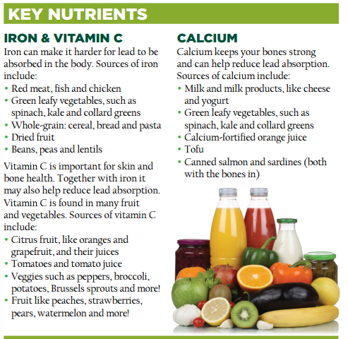 Key Nutrients