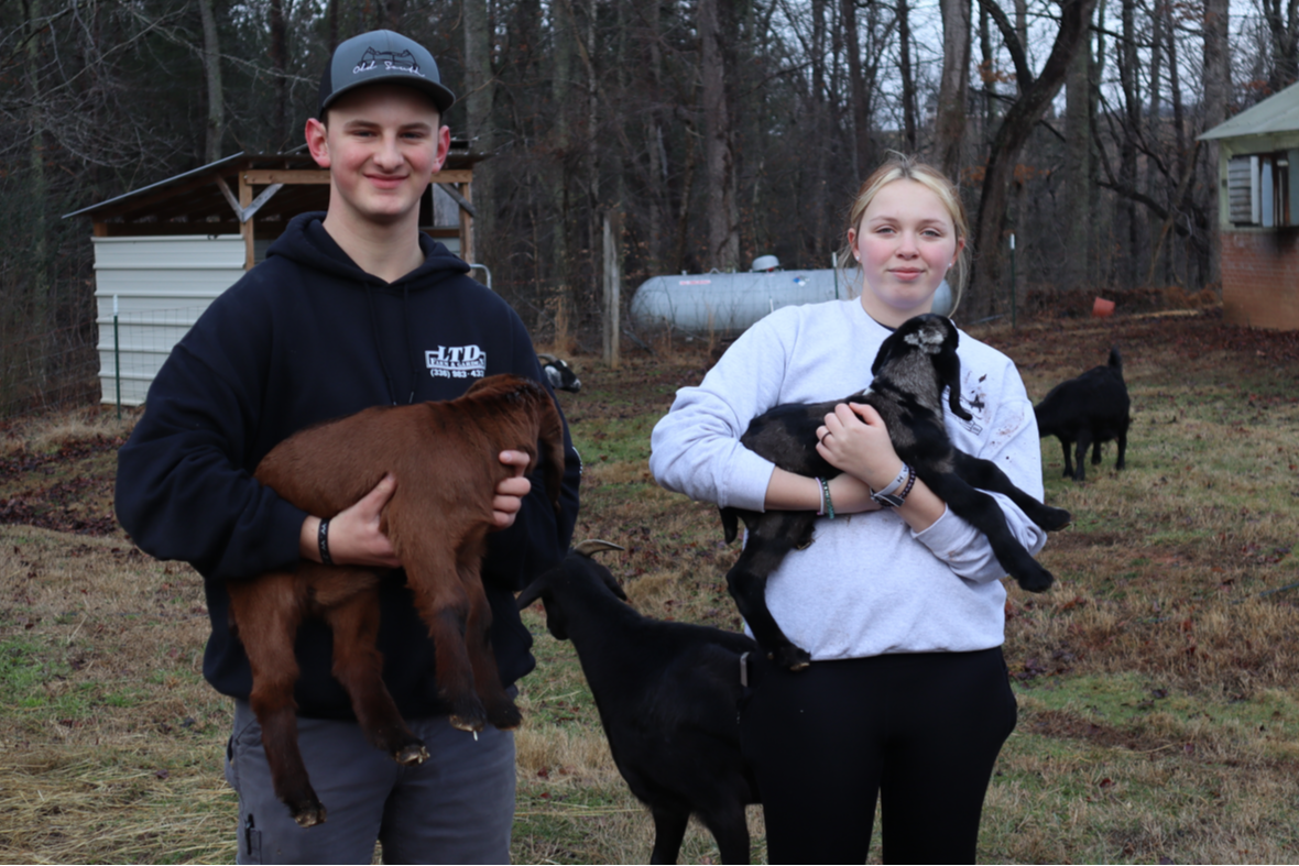 Students with newborn goats 