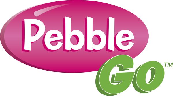 Pebble