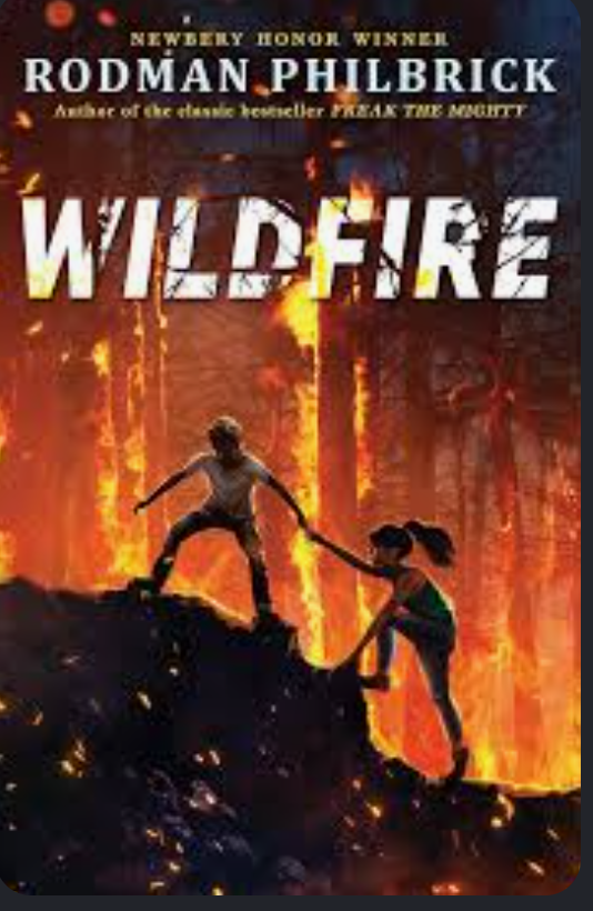 Wildfire Book Cover