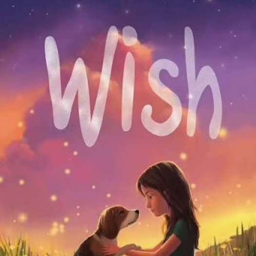 Wish Book Cover