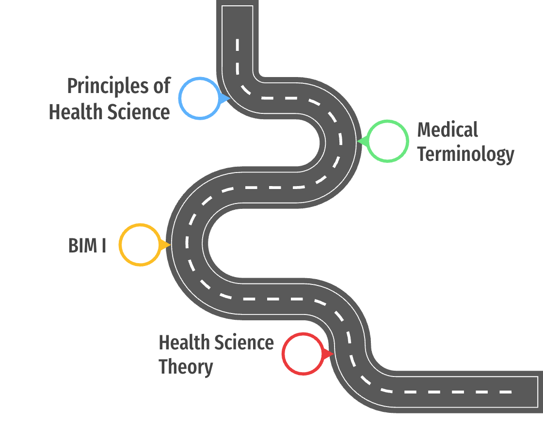 Health Informatics Pathway