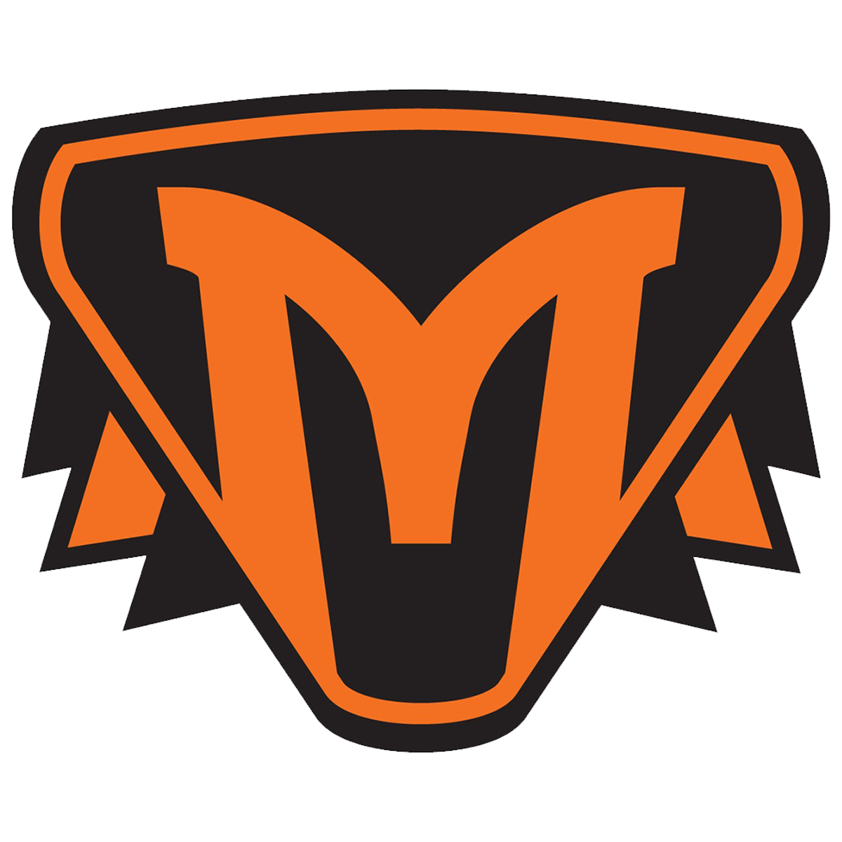 Athletic Forms and Informational Links | Molalla High