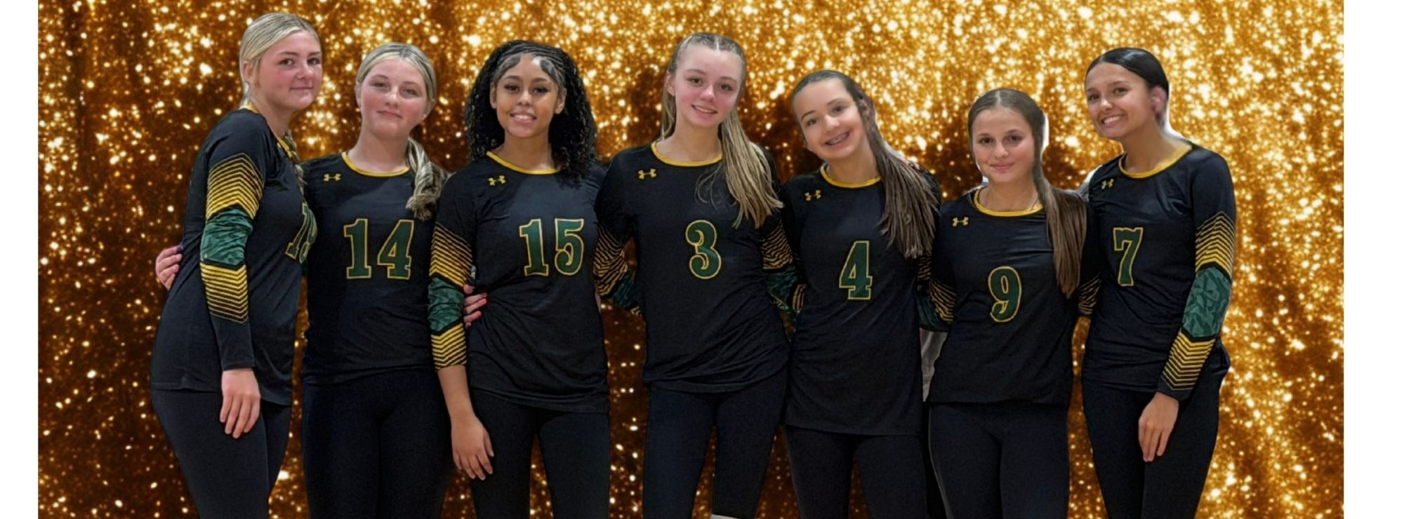 Volleyball