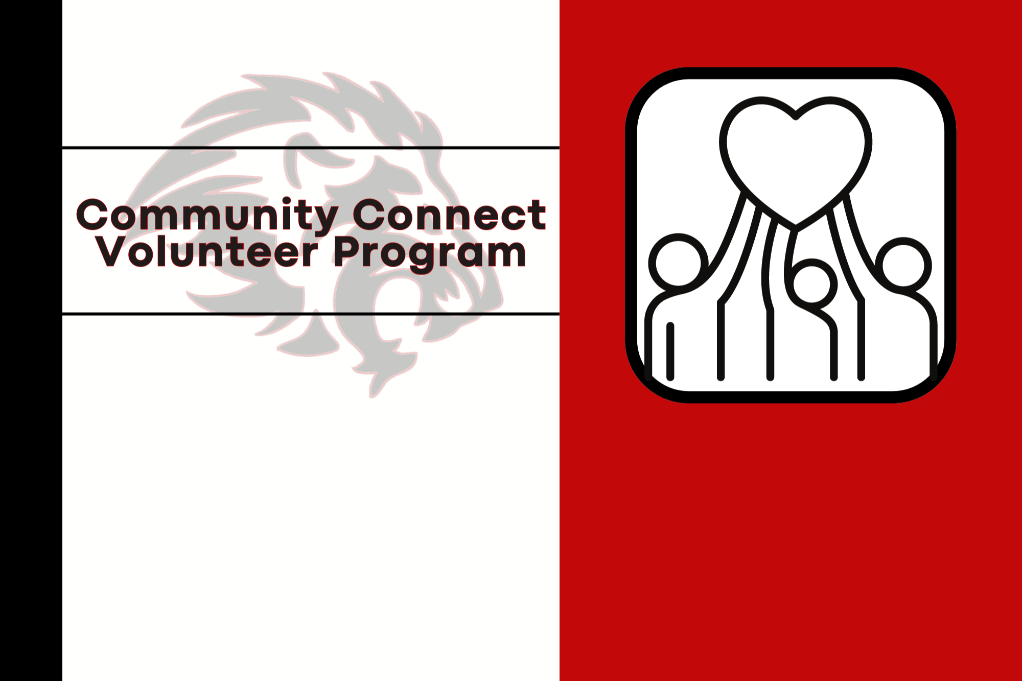 Community Connect Volunteer Program