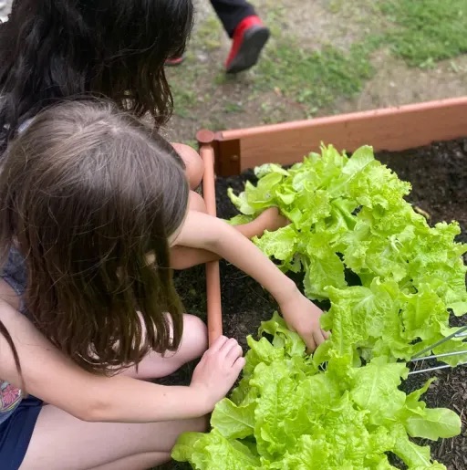 girl taking care of a plant 