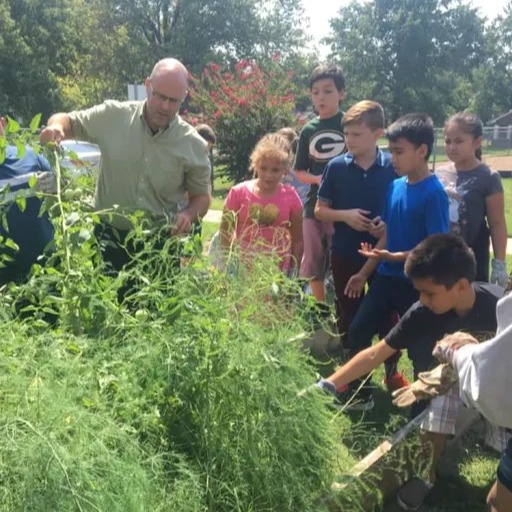 kids helping cutting   a plant 