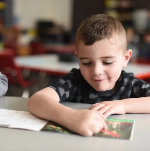 boy reading a book