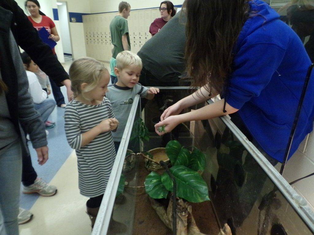 Teacher holding a lizard while two preeschool students watch