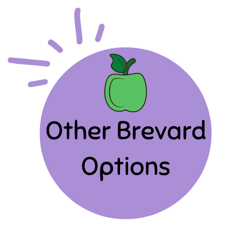 other options logo