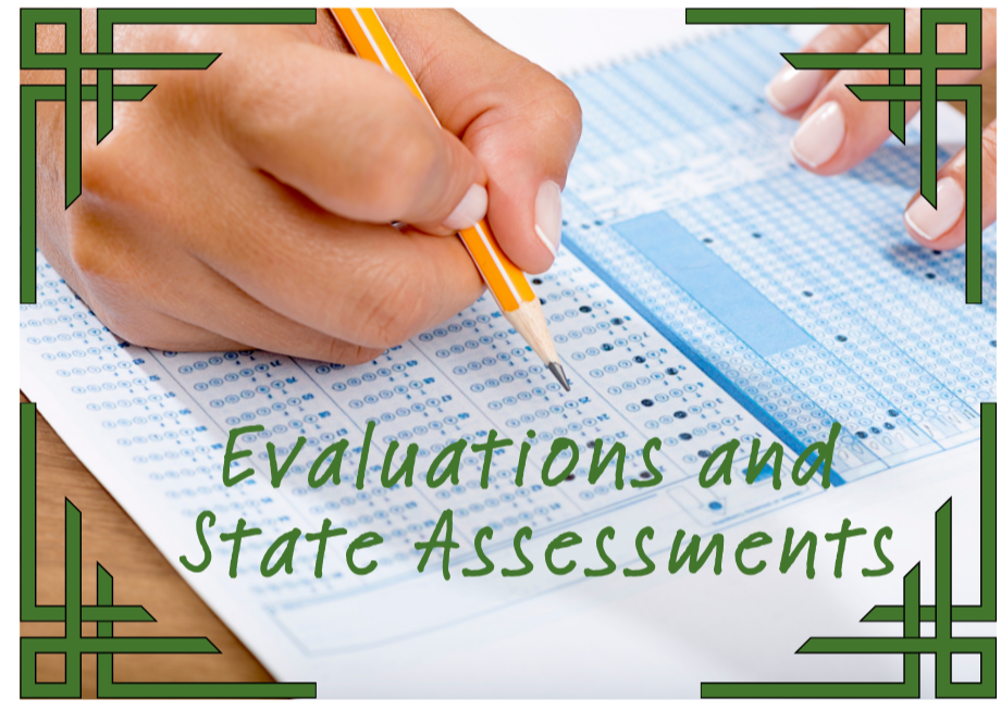 evaluations and state assessments