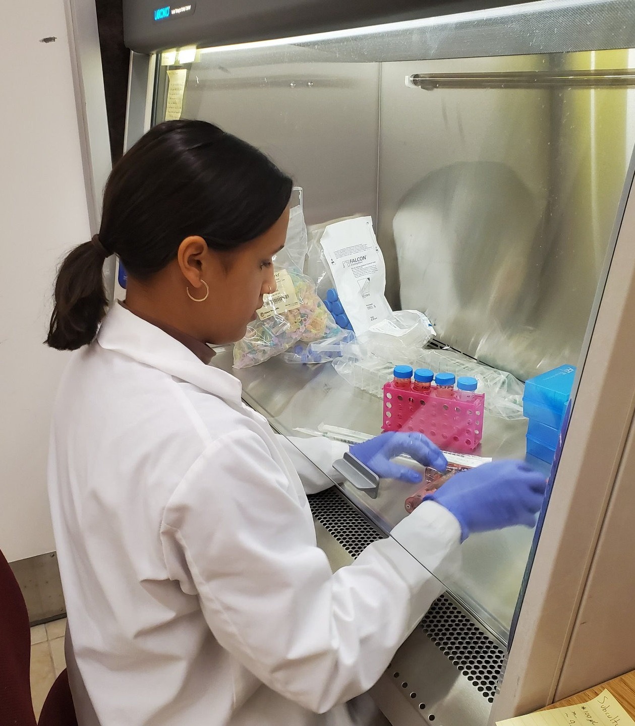 Satellite High  Student