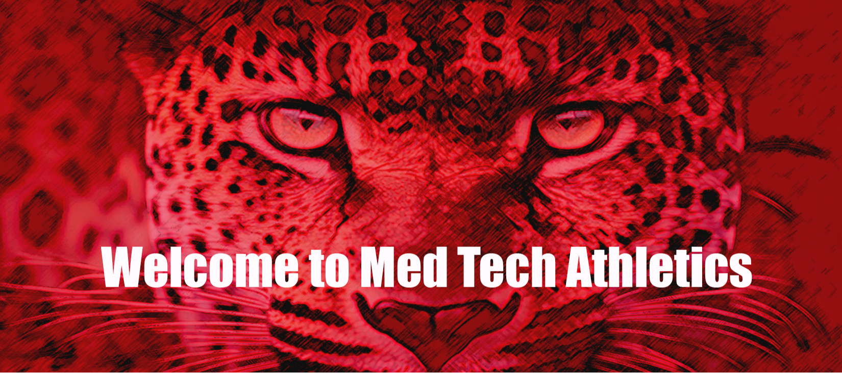 panther image and Welcome to Med Tech Athletics