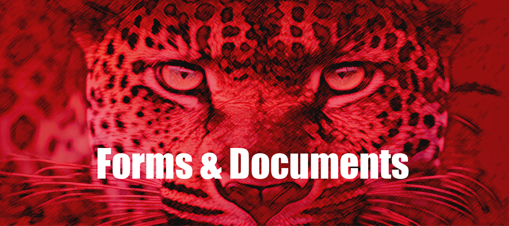 Forms & Documents