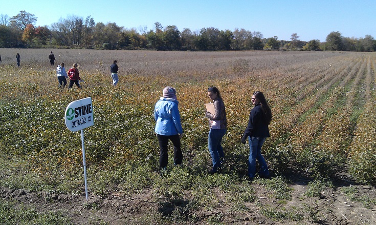 agriculture activities