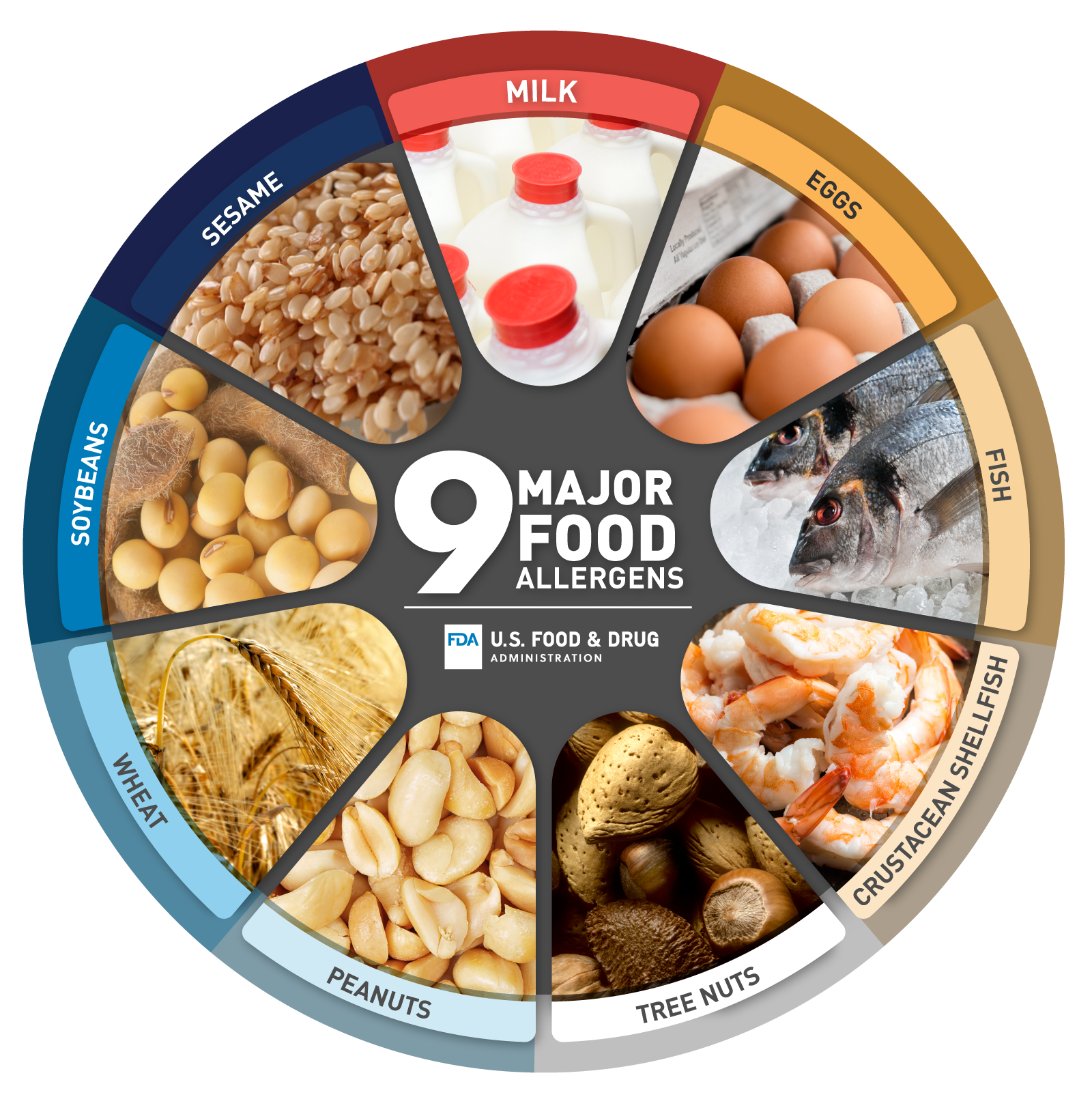 Food allergies