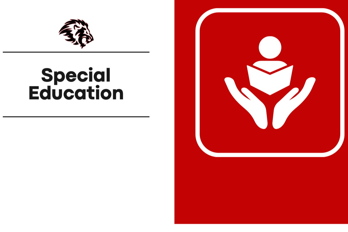 Special Education Graphic