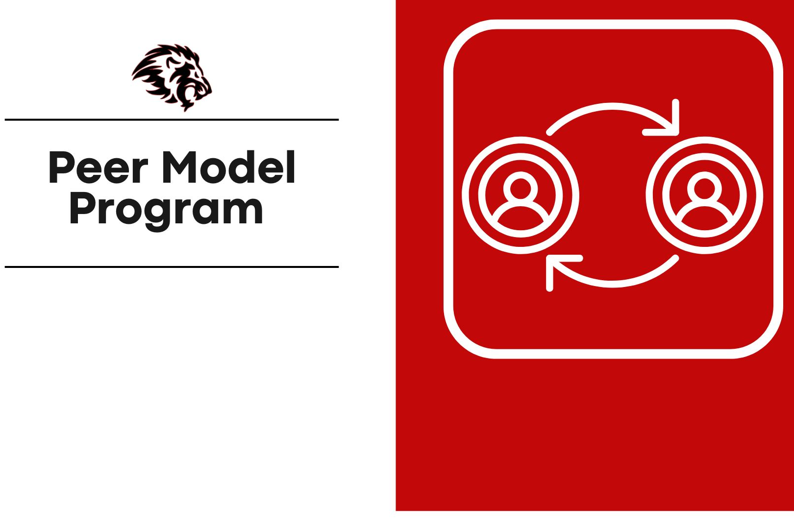 Peer Model Program Graphic